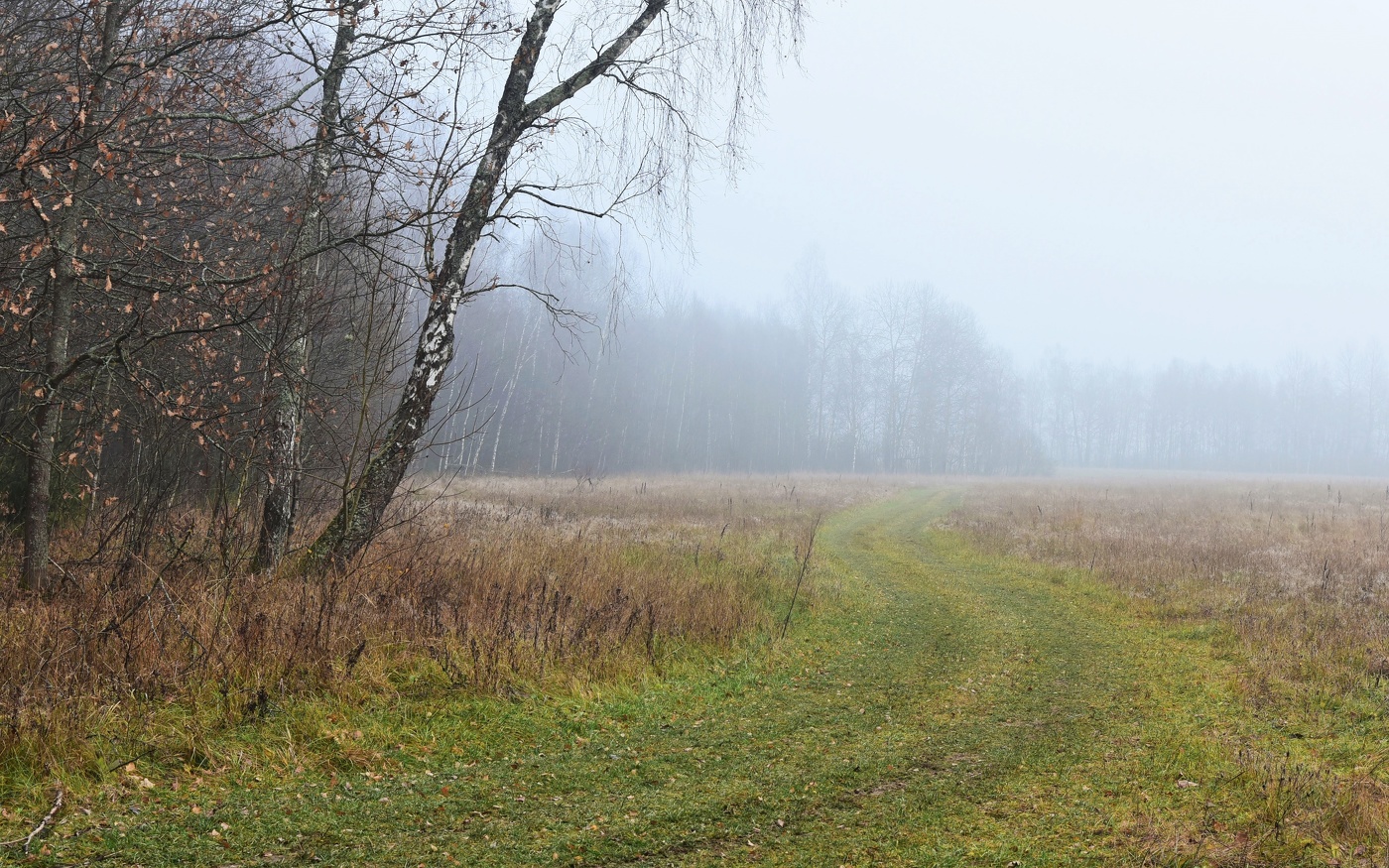 "Цветочный мир поблекнул и притих ..."