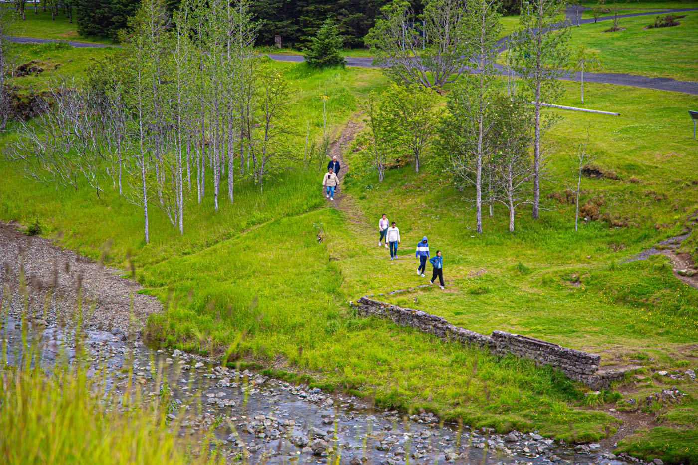 Исландия. Спуск к горной речке