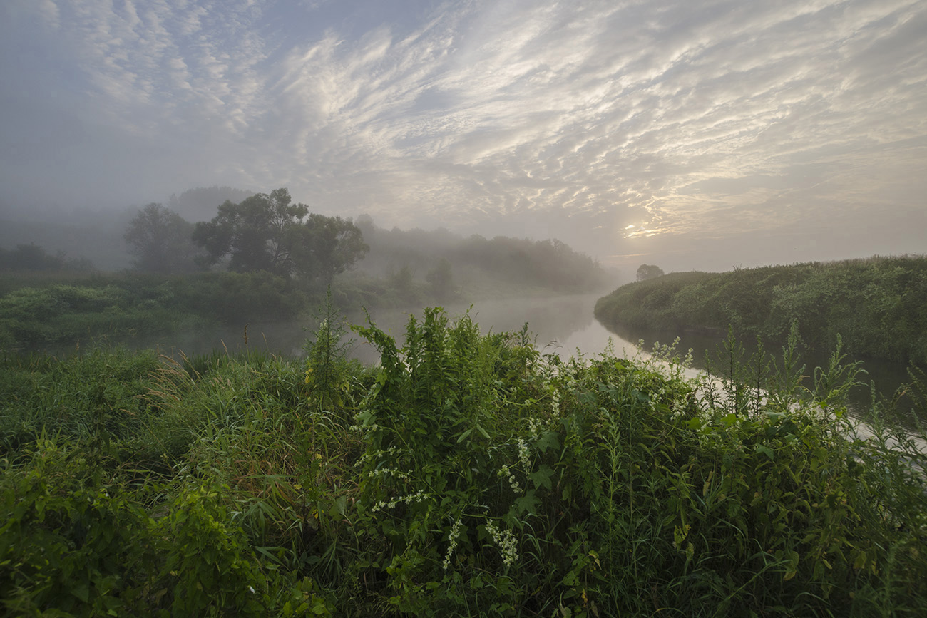 Июльское утро на Упе