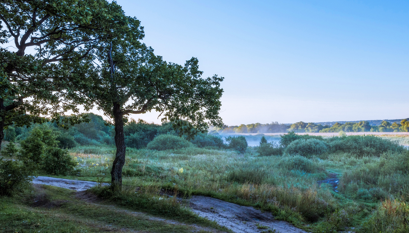 Прохладное утро.