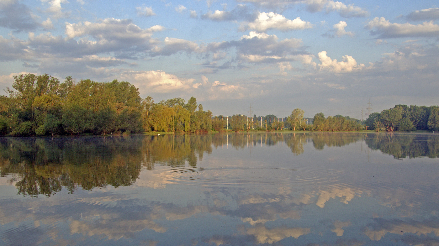Нежное утро
