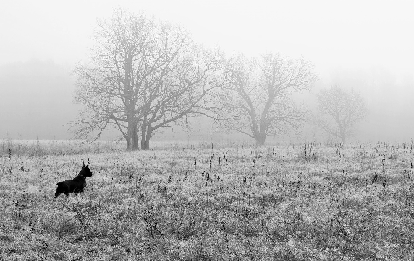 "Когда уходит осень за предел, мир делая бесцветным, монохромным..."