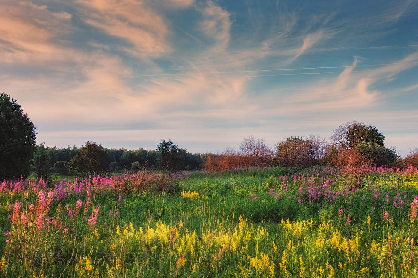 Вечером на лугу
