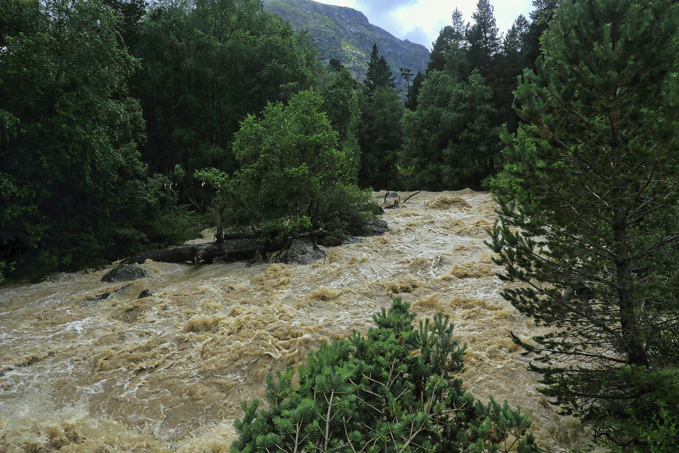 После ливня