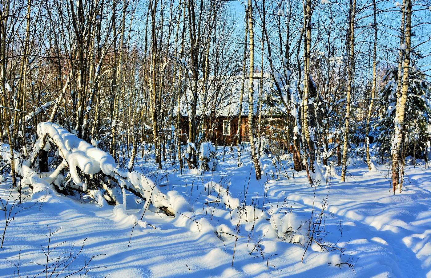 "Вечор, ты помнишь, вьюга злилась, на мутном небе мгла бесилась..."