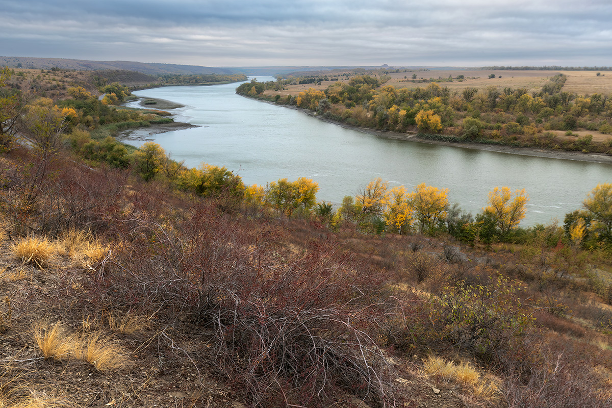 Течение осени