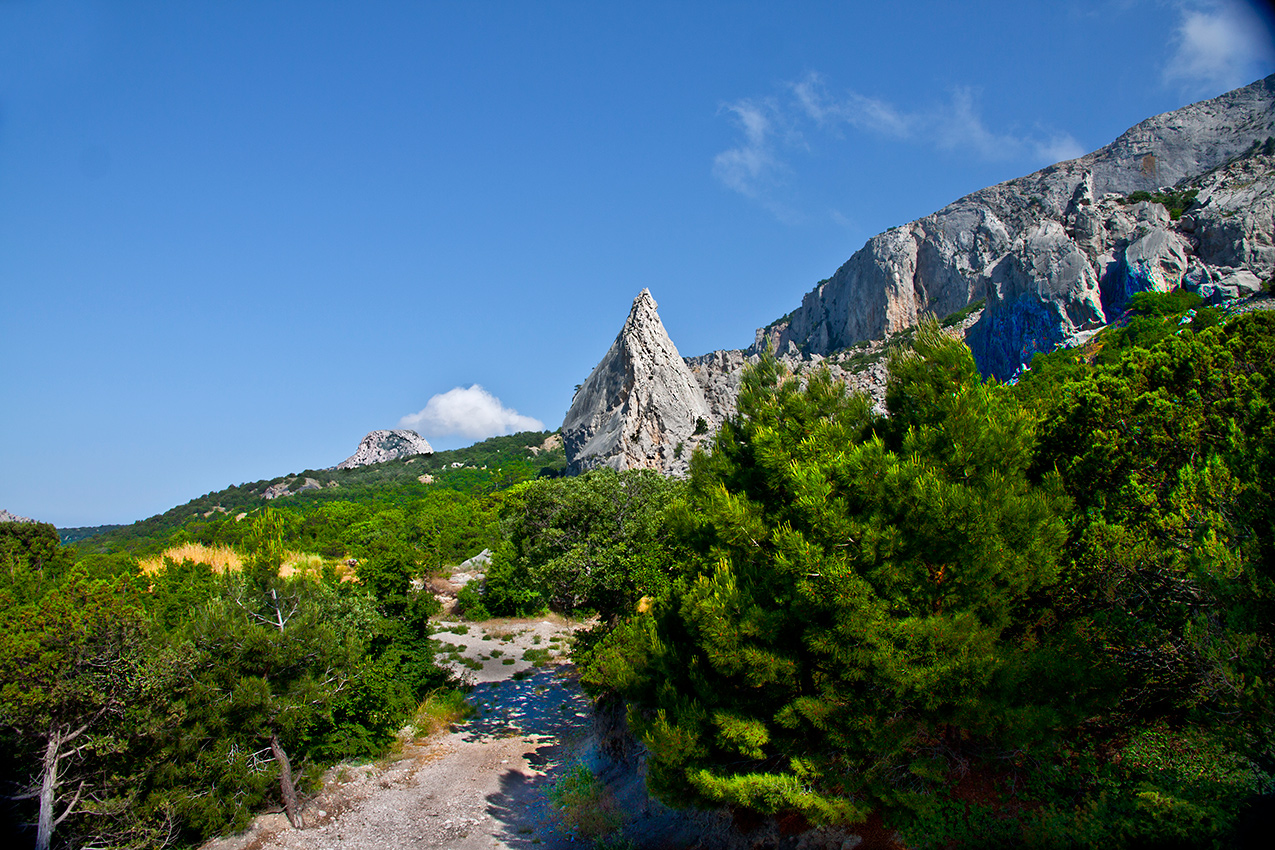 "Зубы" дракона