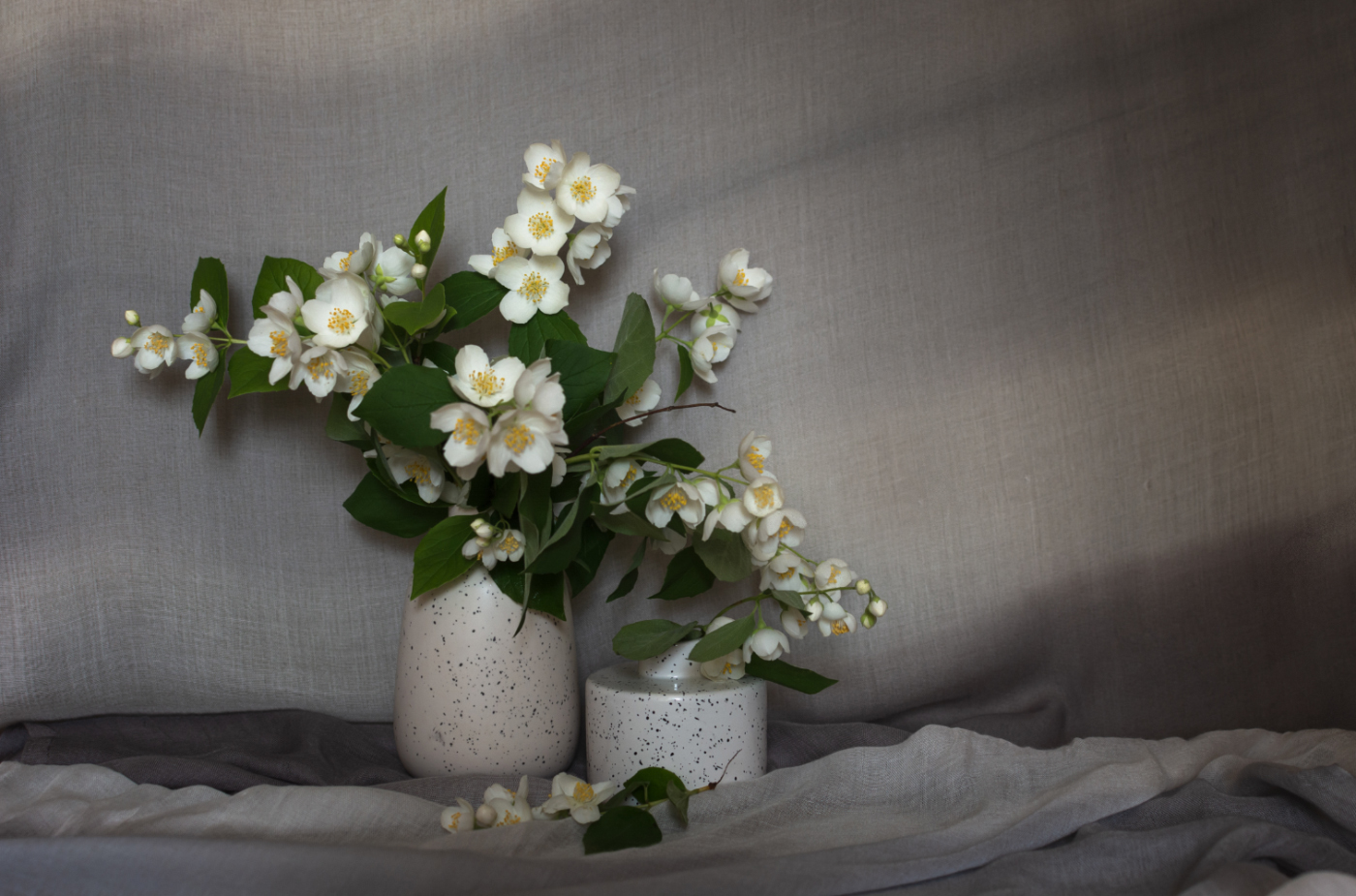 Июньский натюрморт с жамином.