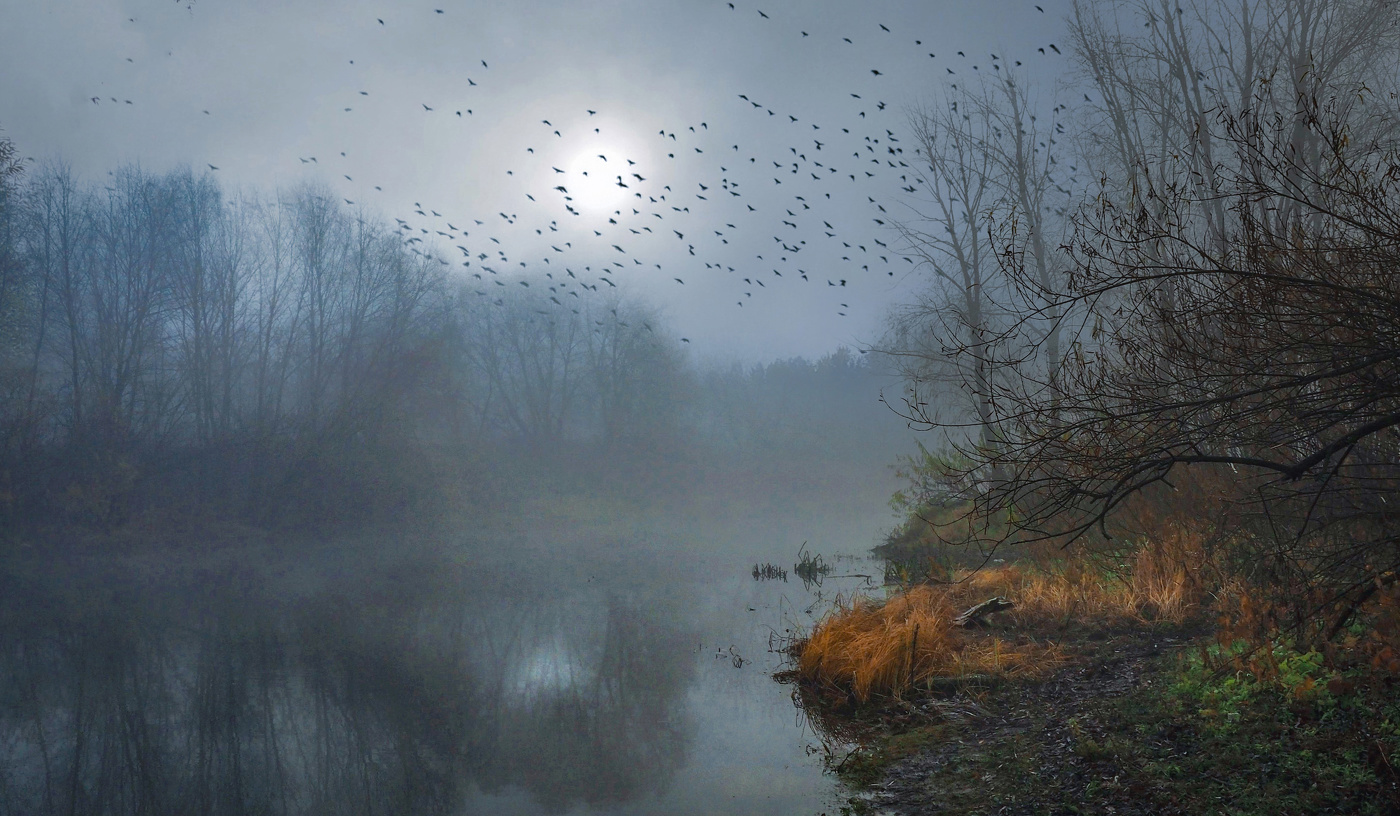 Раннее утро на озере.