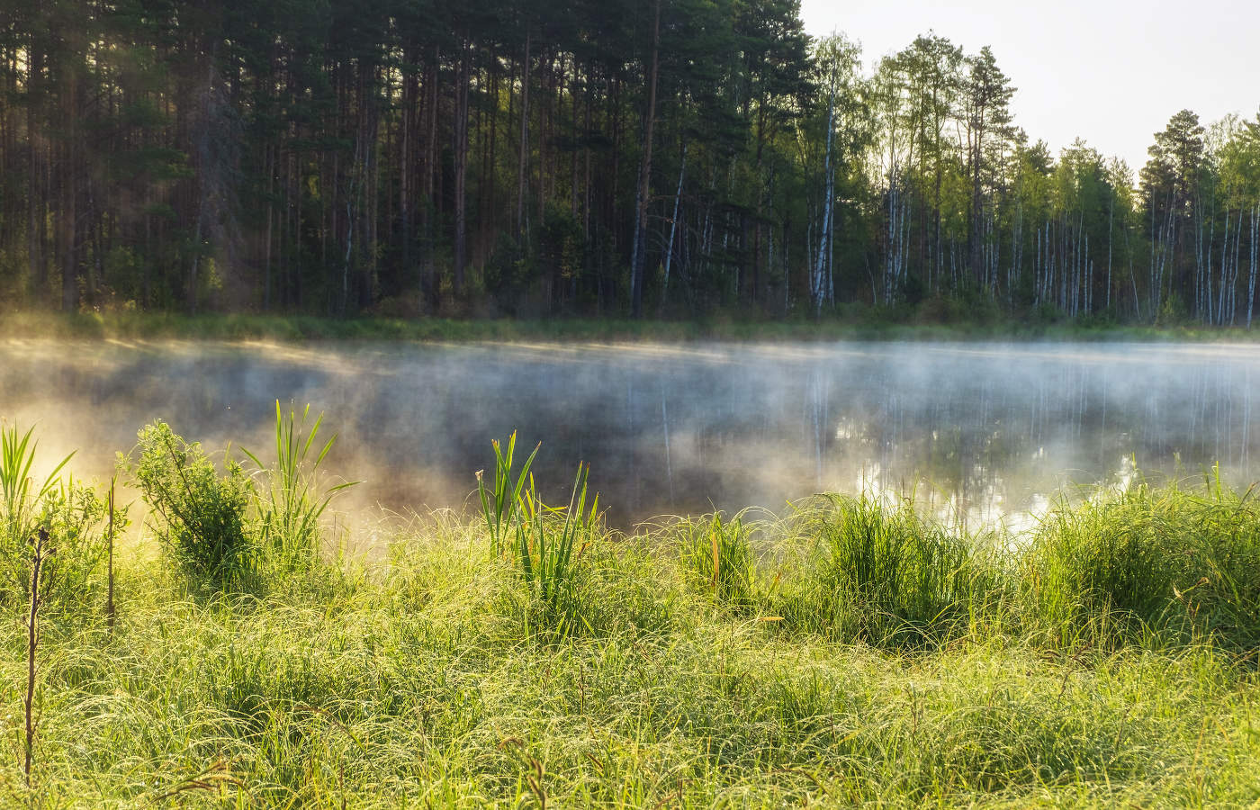 Утро на озере