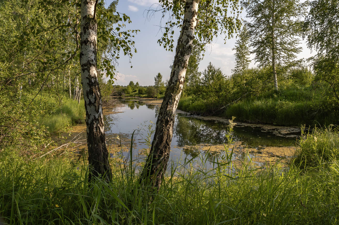 Середина лета.Жаркий день
