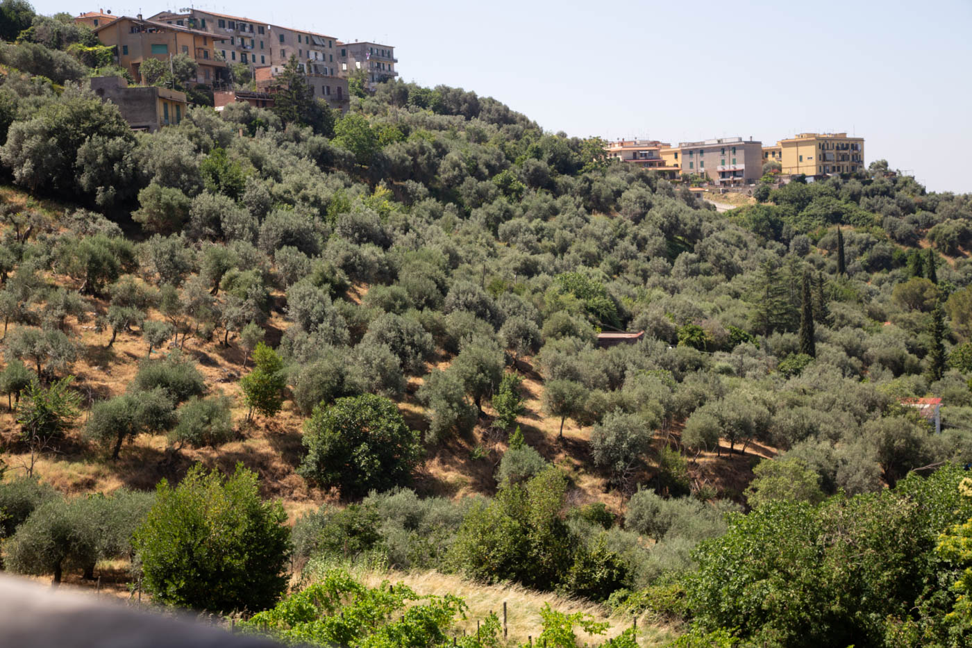 Задворки Рима