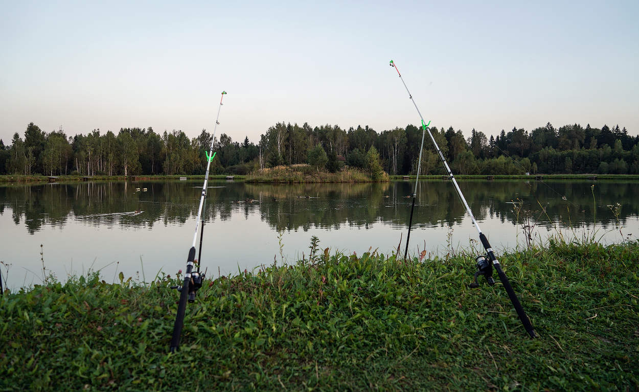 вечерняя рыбалка