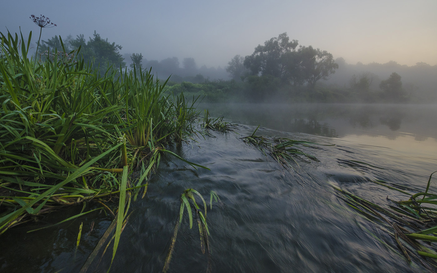 Течение Упы в июле