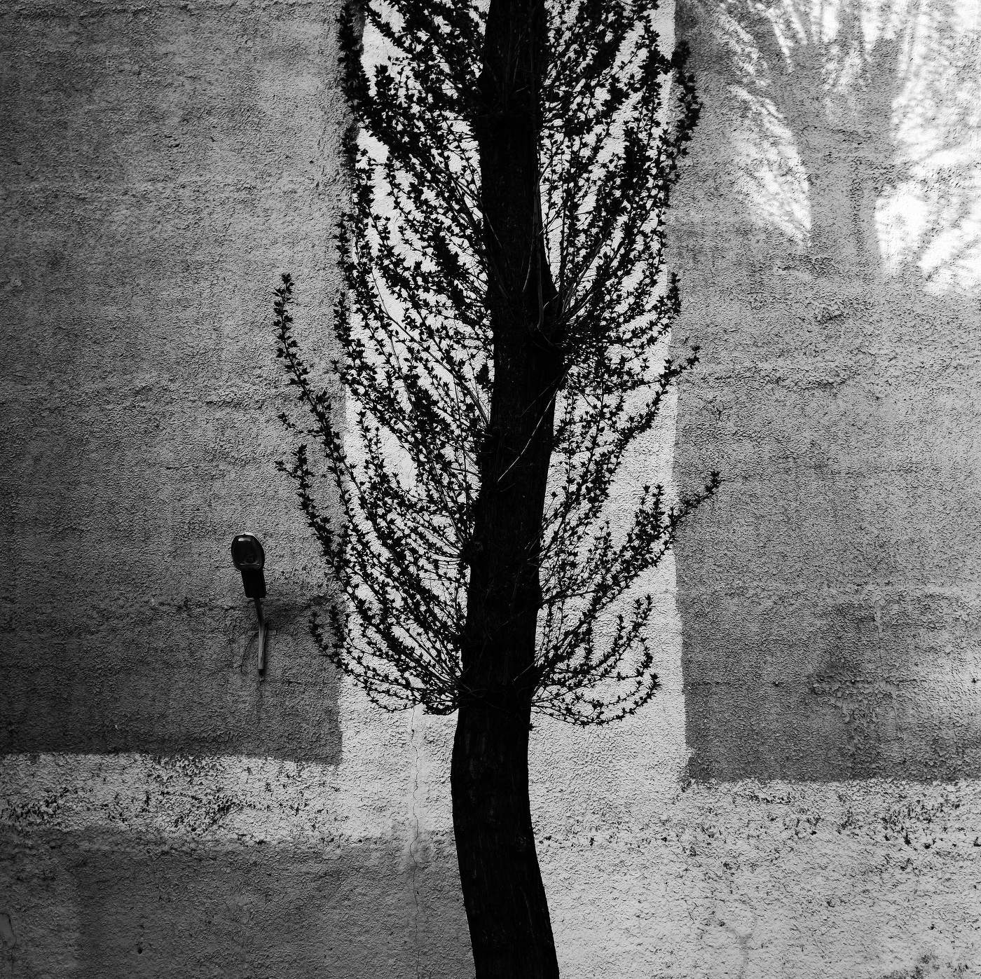 Асимметрия