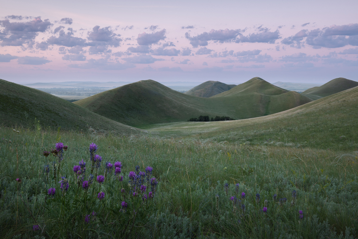 "Пейзаж с цветами"