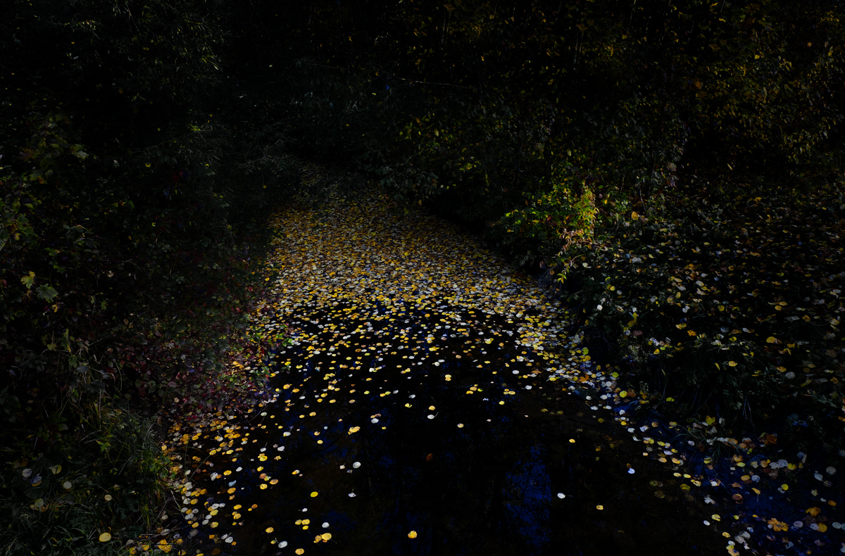 Осеннее настроение 5