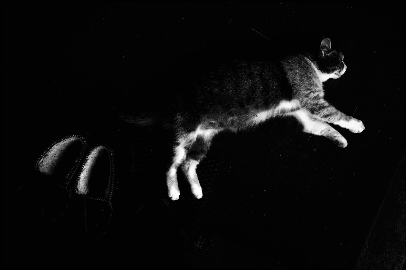 Жизнь вокруг