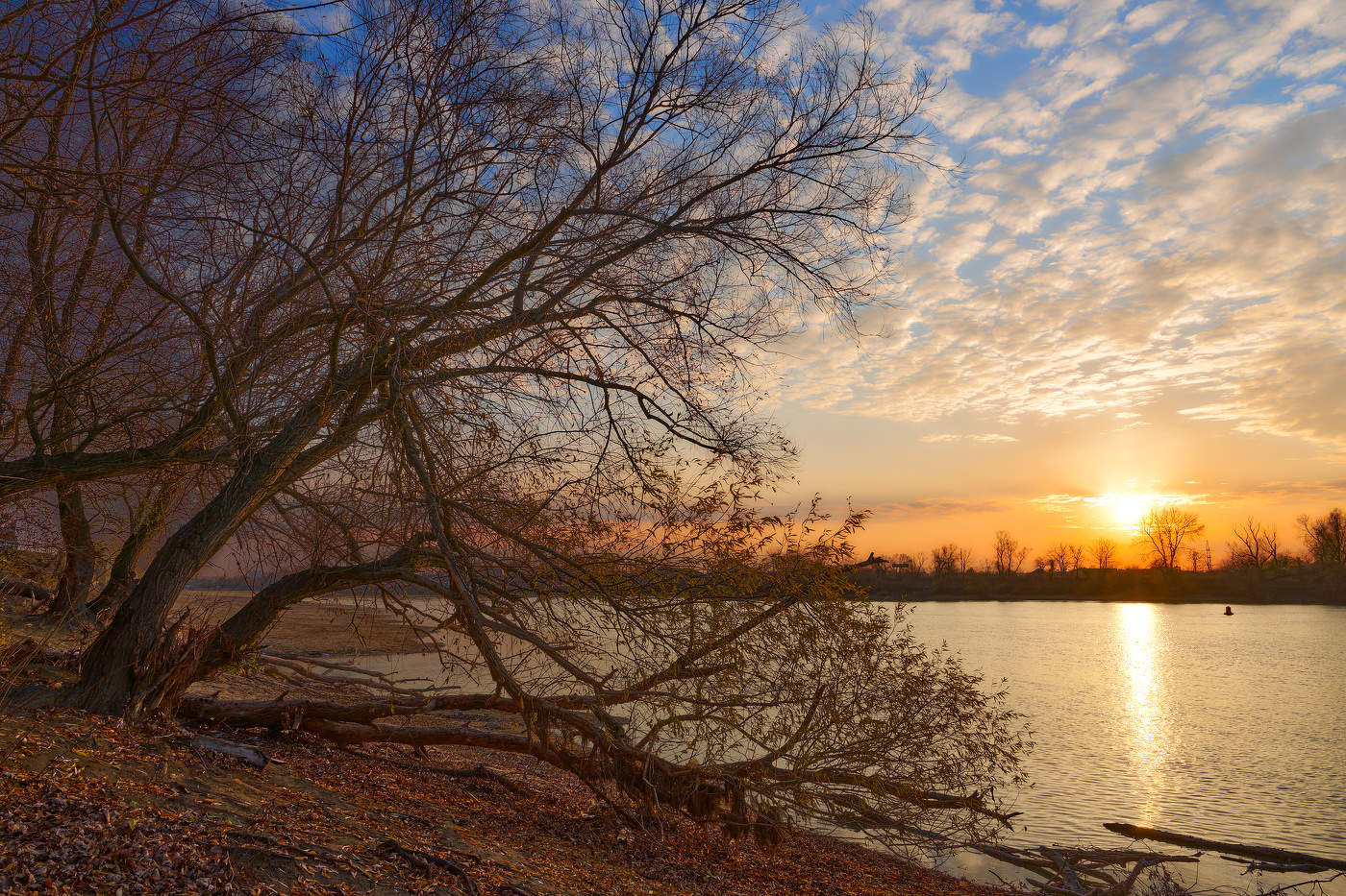 Осень не отпускает меня