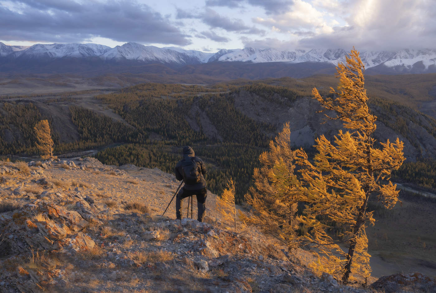 За красивым кадром!