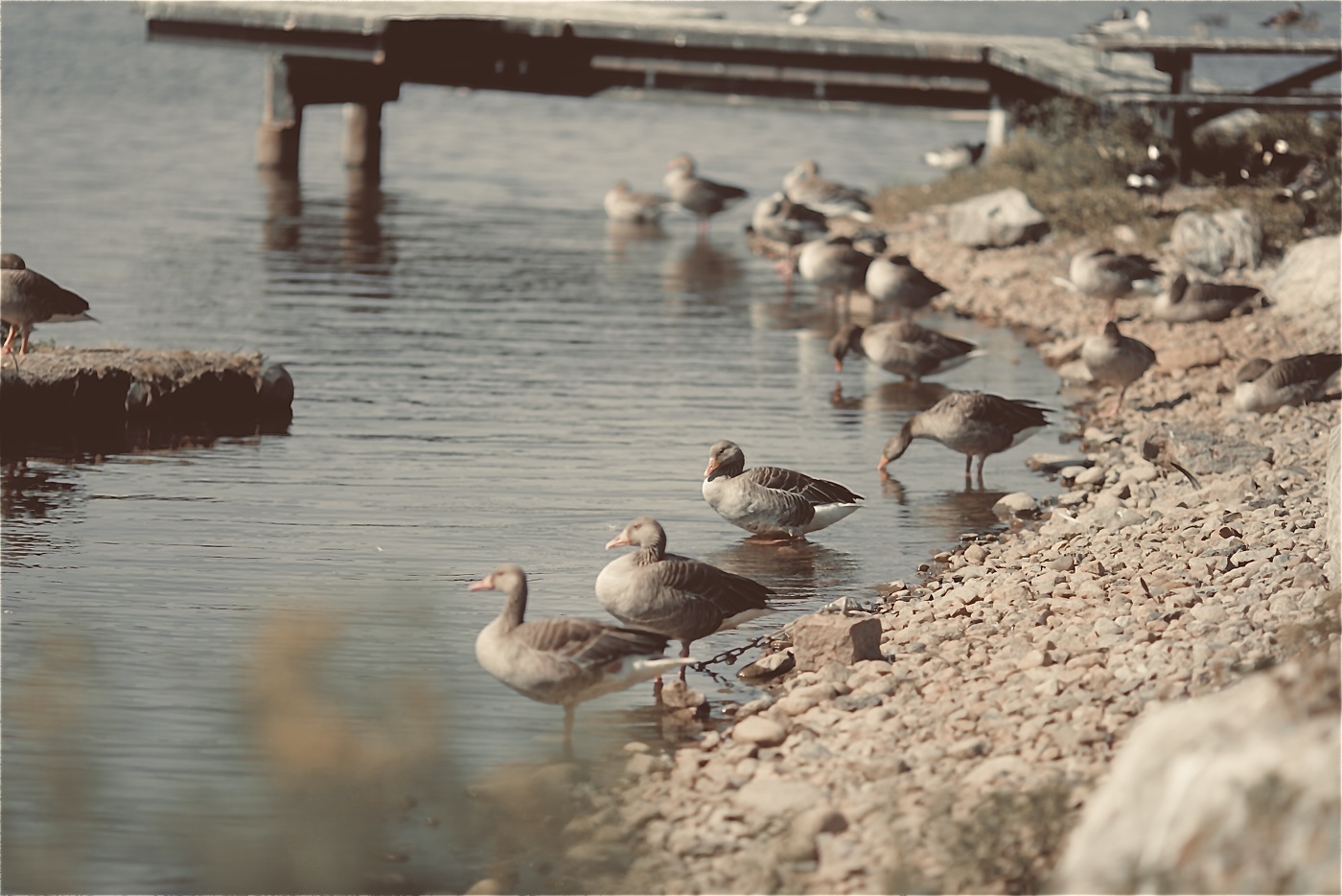 солнечные ванны..