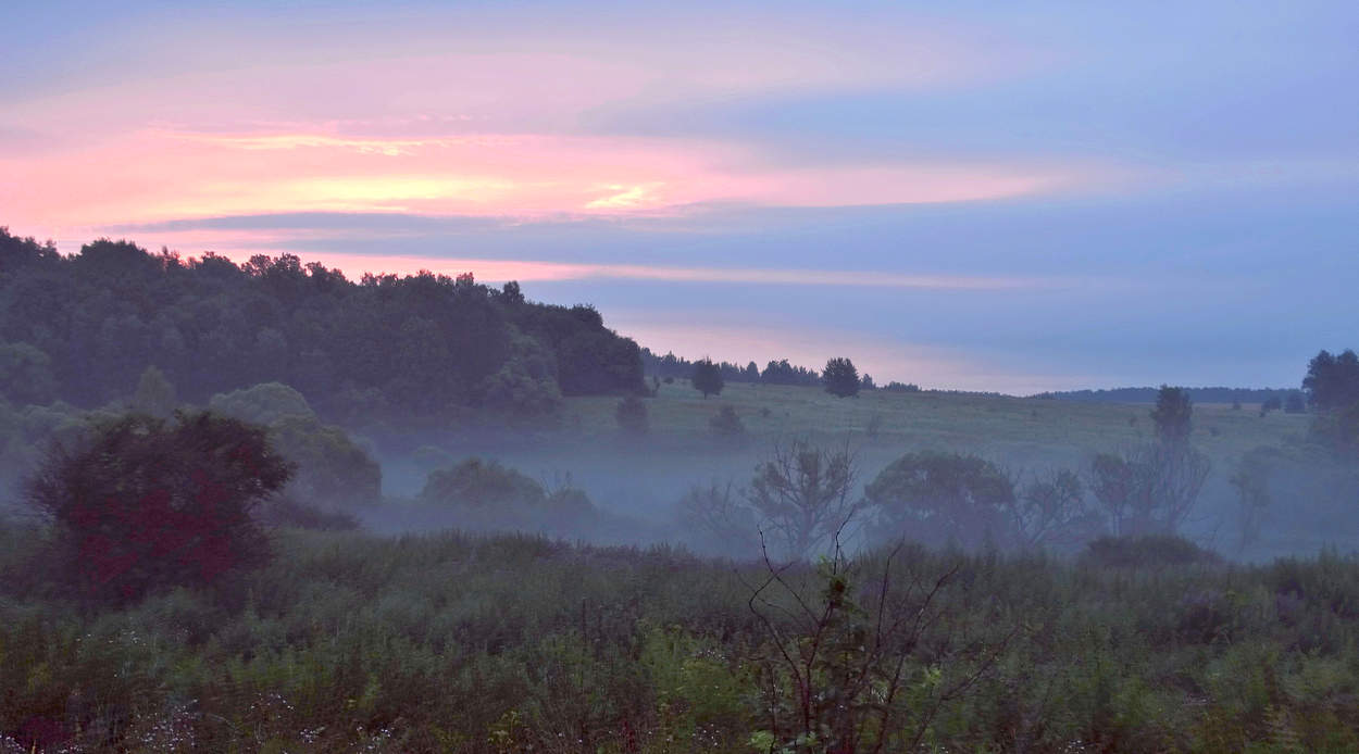 Утренний туман стелется по оврагу