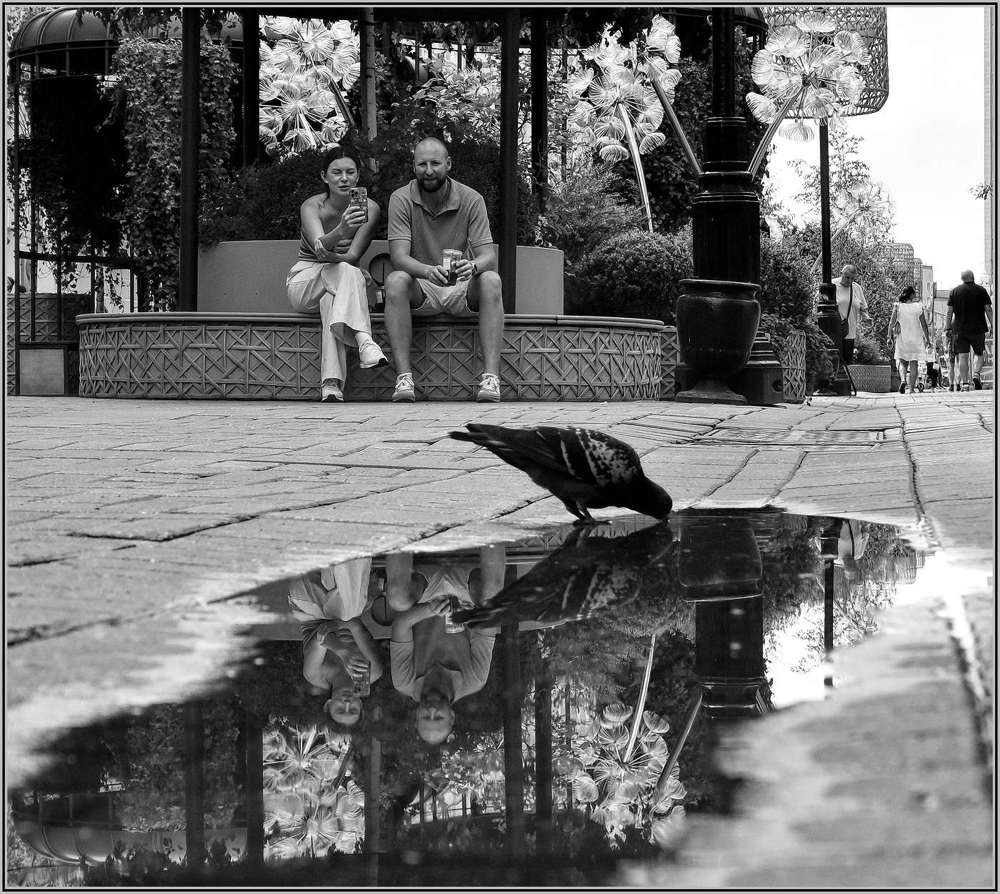 ..... Водопой ....