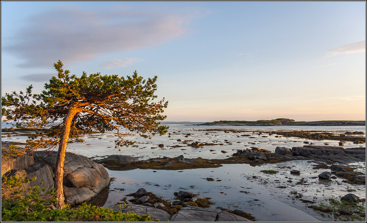 В Белом море острова.