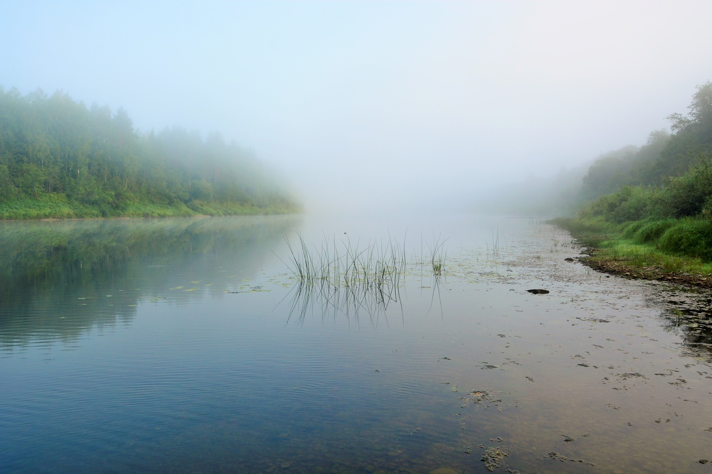 Утро на реке ...