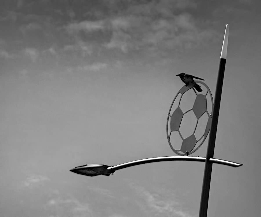 Я,..тоже за футбол..!