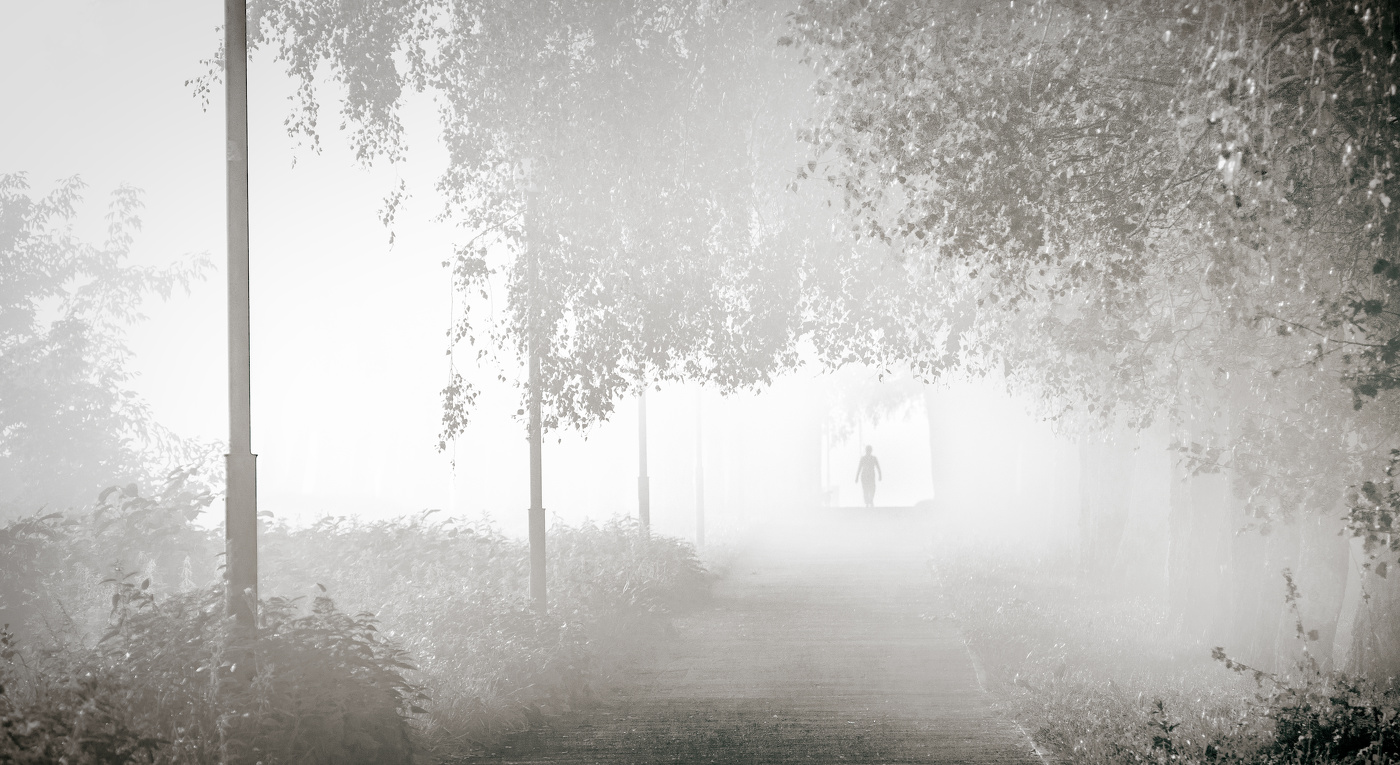 Туманная аллея