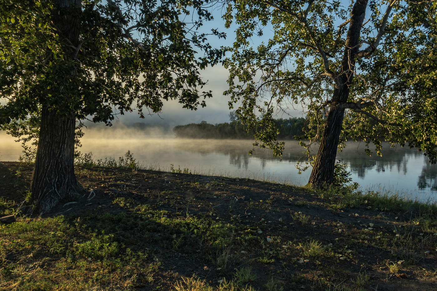 Туманное утро