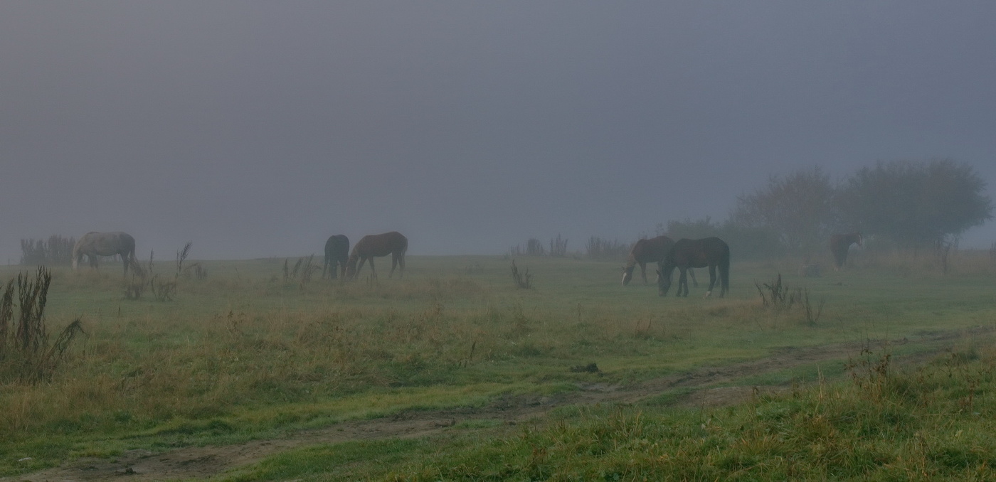 *Раннее утро**