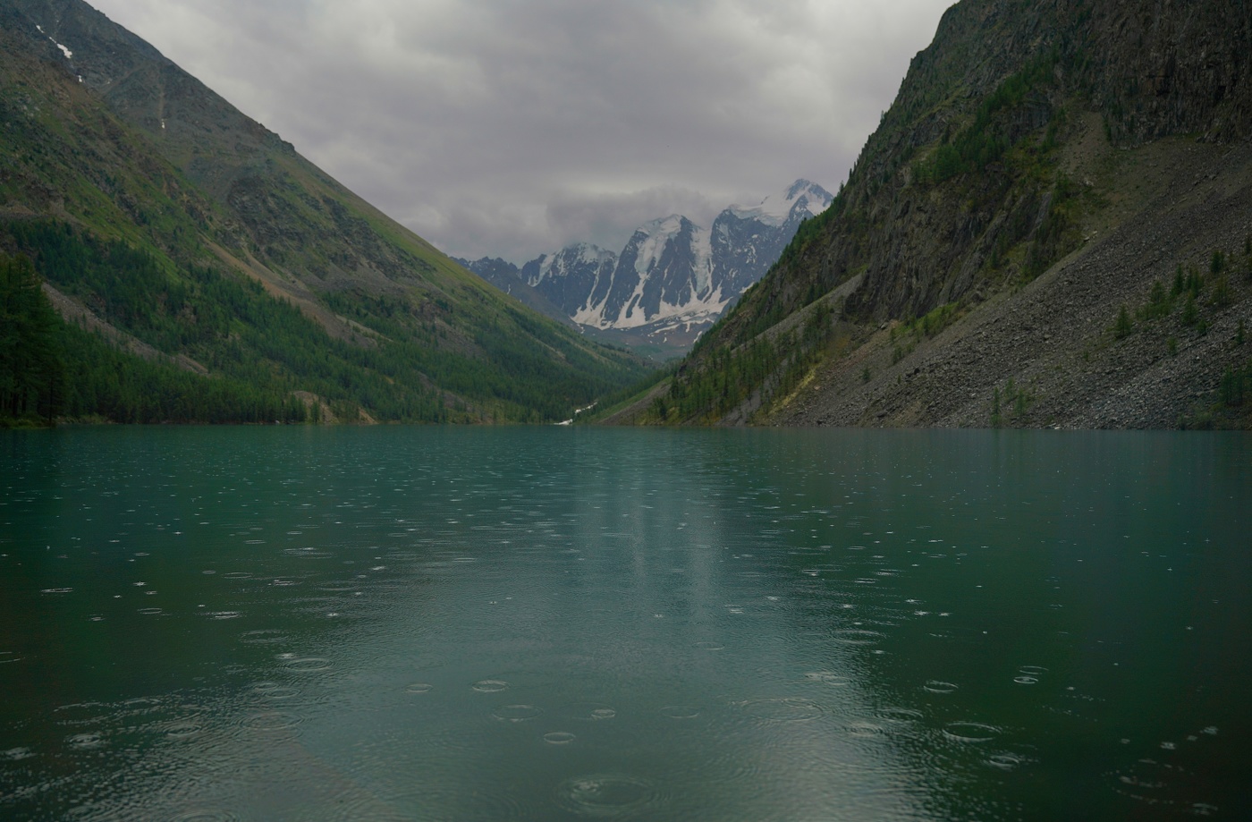 Утренний дождь