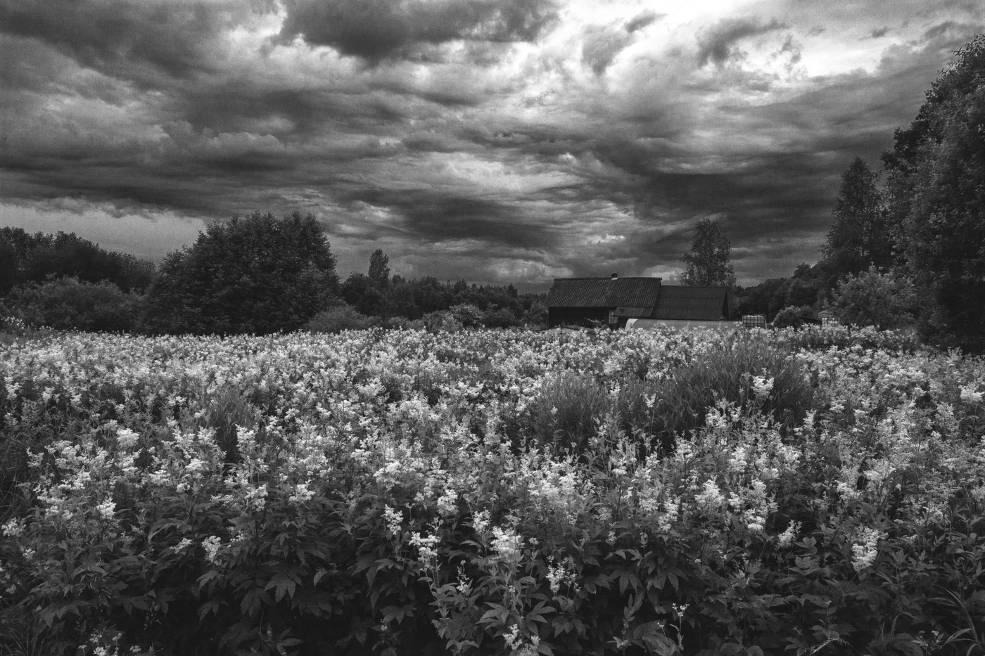 Жизнь вокруг