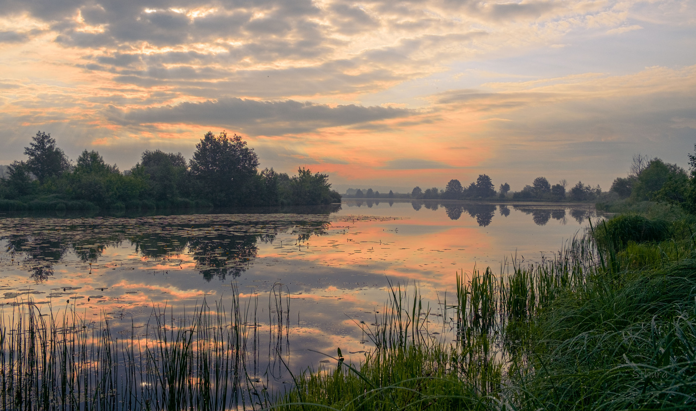 Летний рассвет.