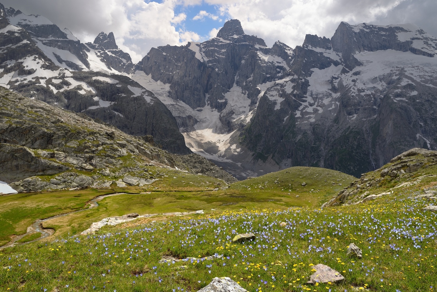 Поляна крокусов