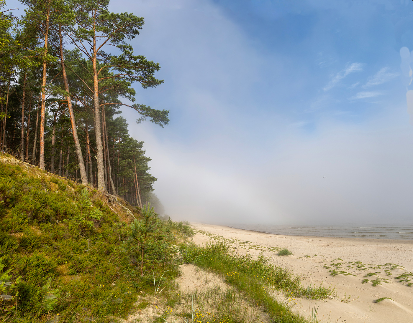 Туман и солнце