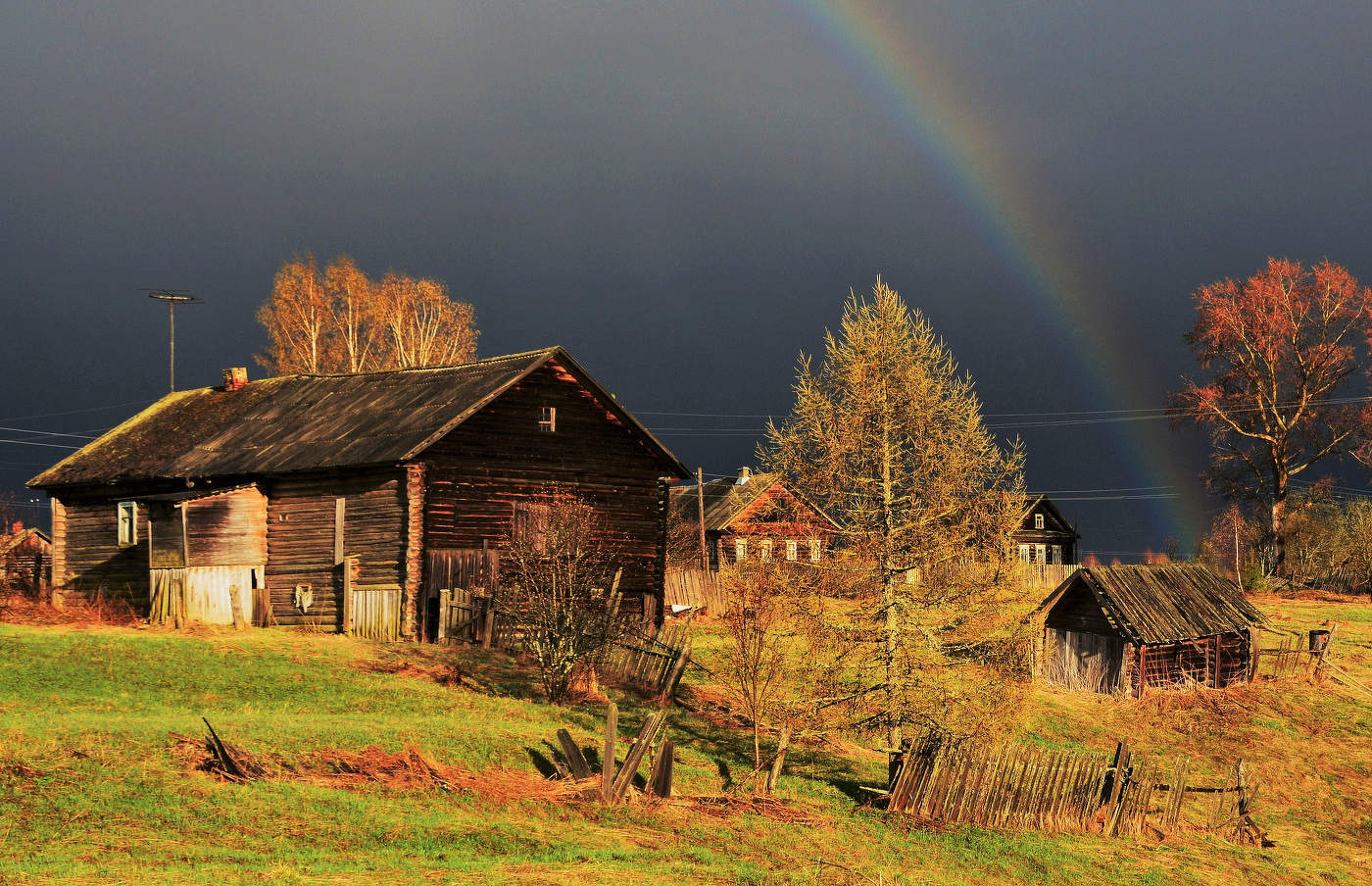 "Люблю грозу в начале мая ..."