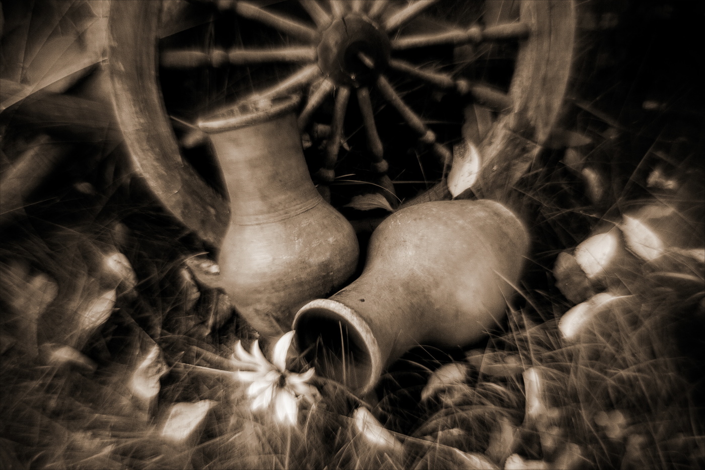 ЛЕТА СЕРЕДИНА