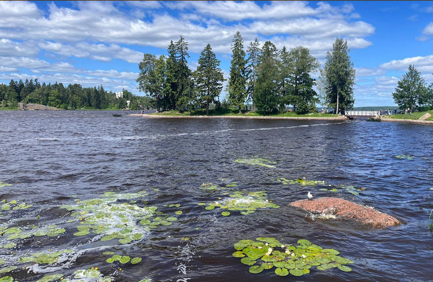 Ветреный денек