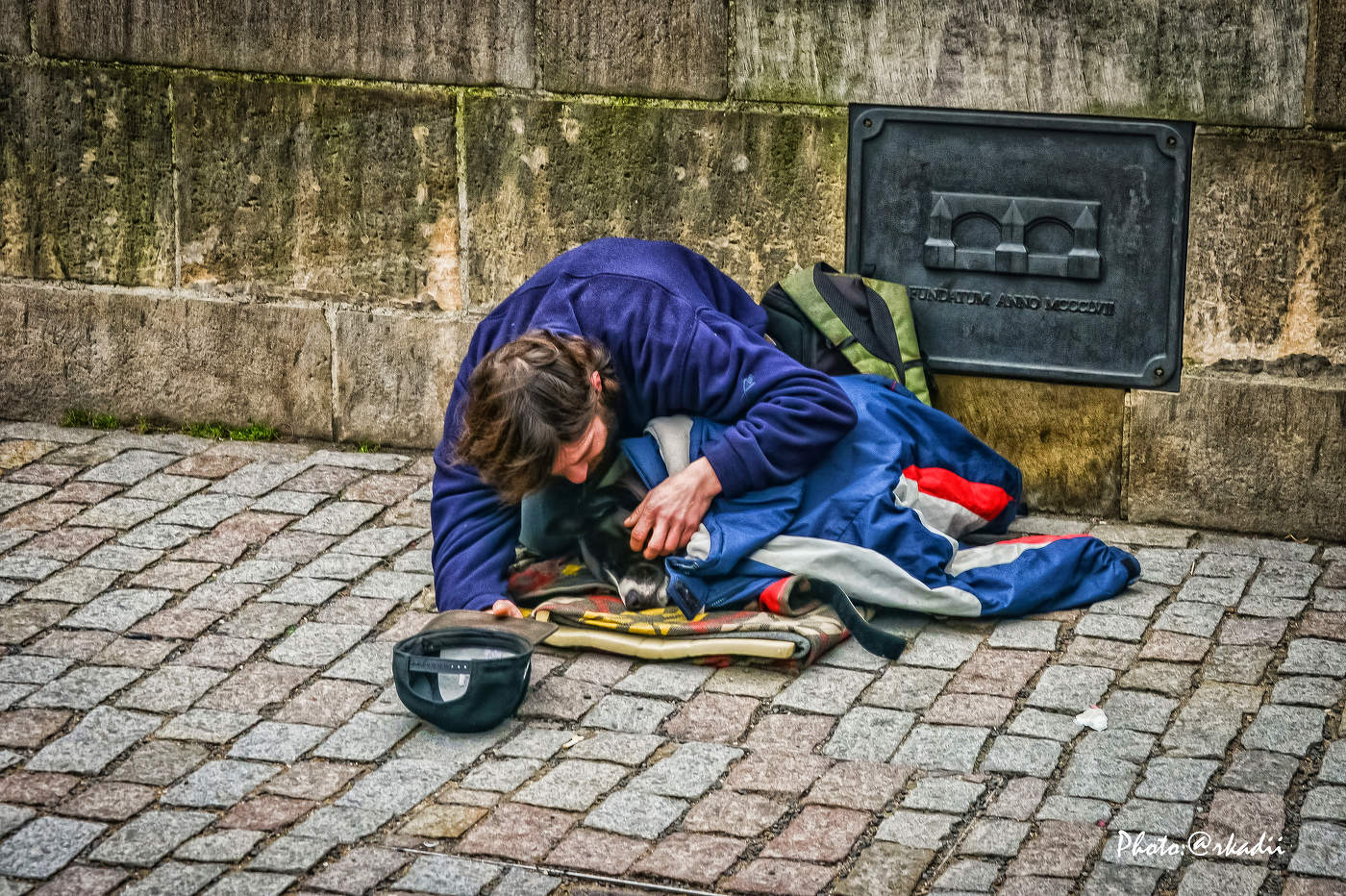 Бездомные друзья...