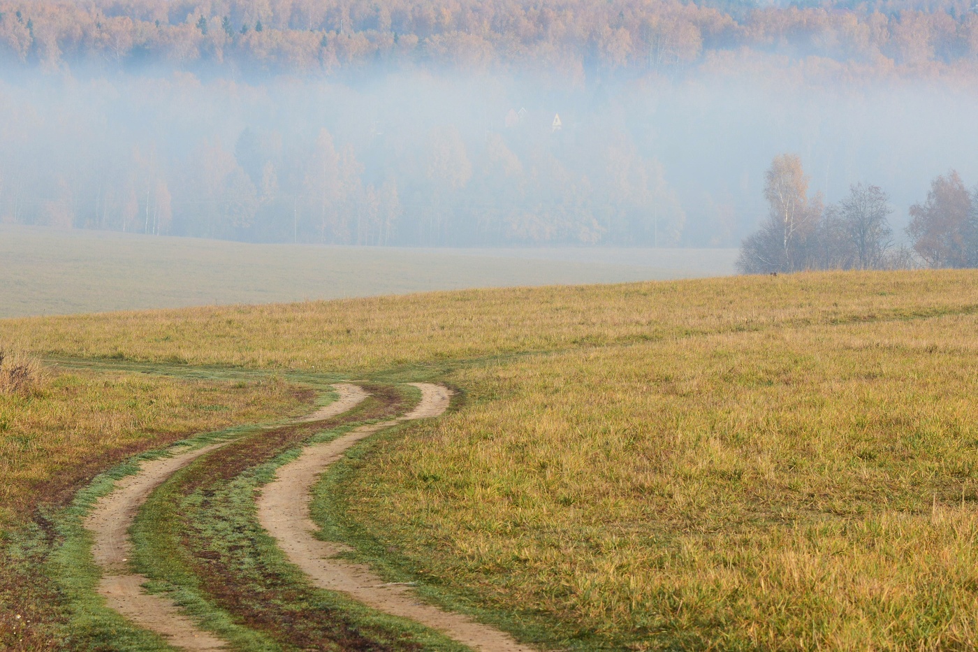 "На осеннем рассвете в туман ковыляет дорога ..."