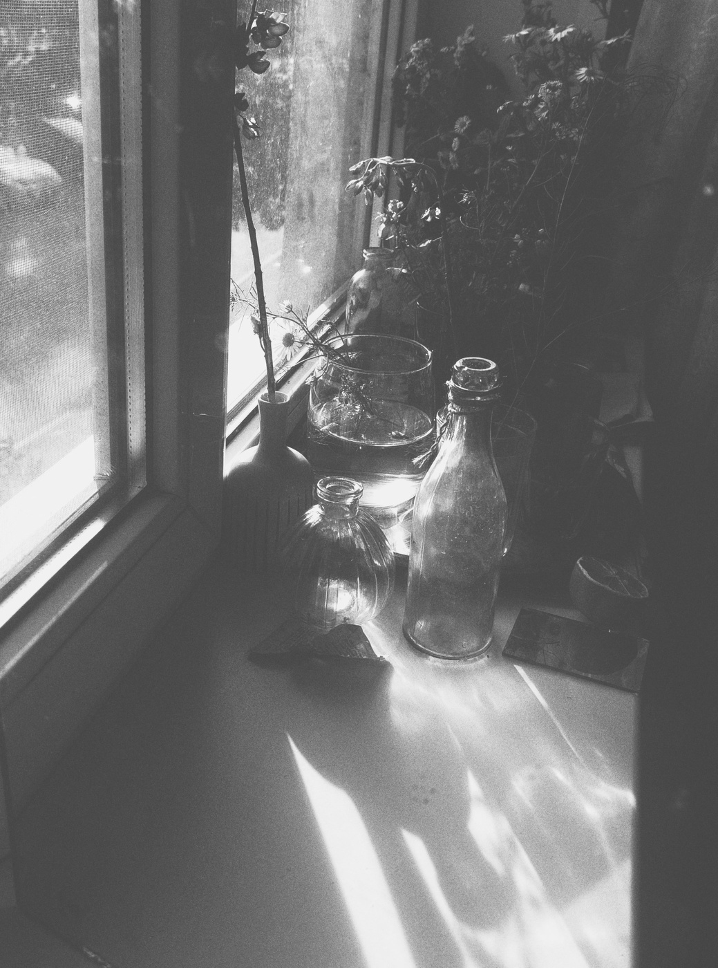 Солнце, над непогодой и невзгодами взошло