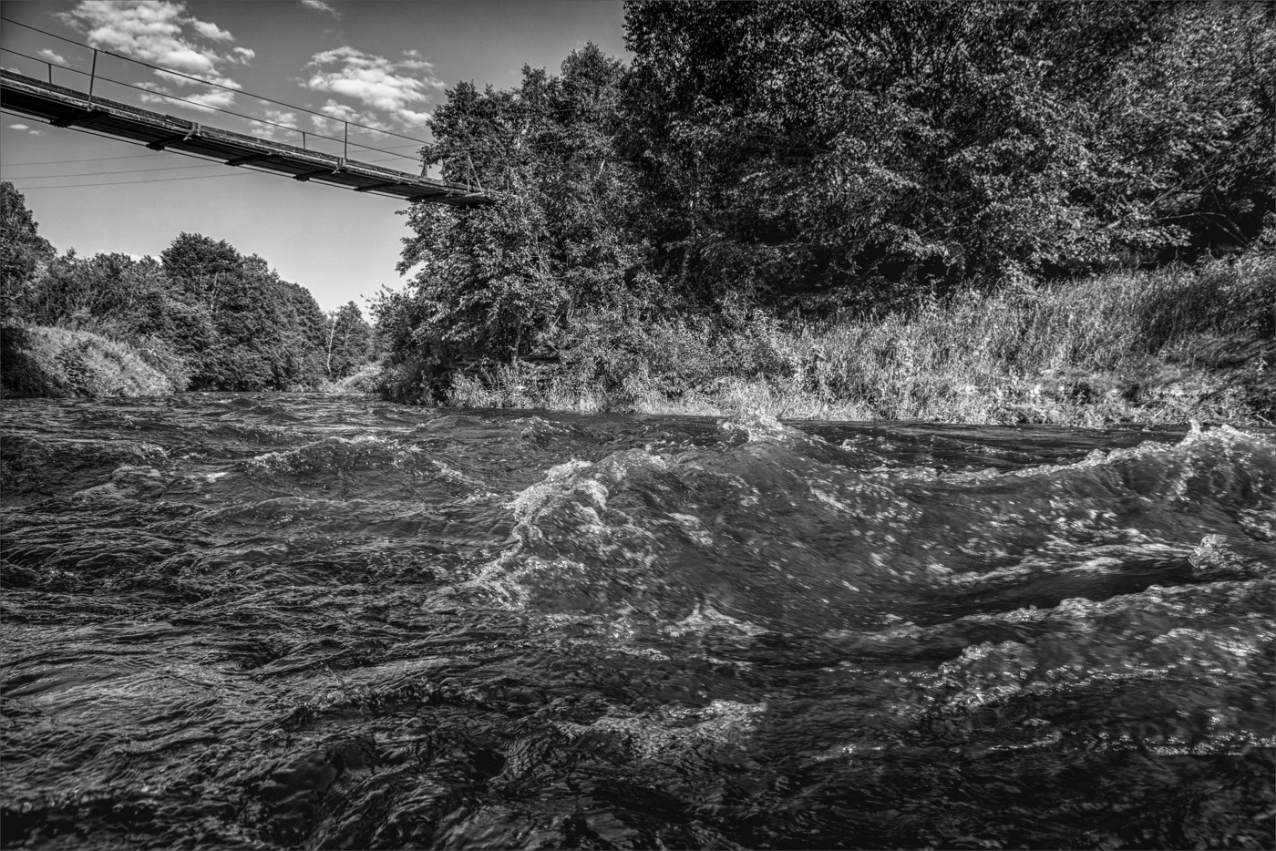 Жизнь вокруг