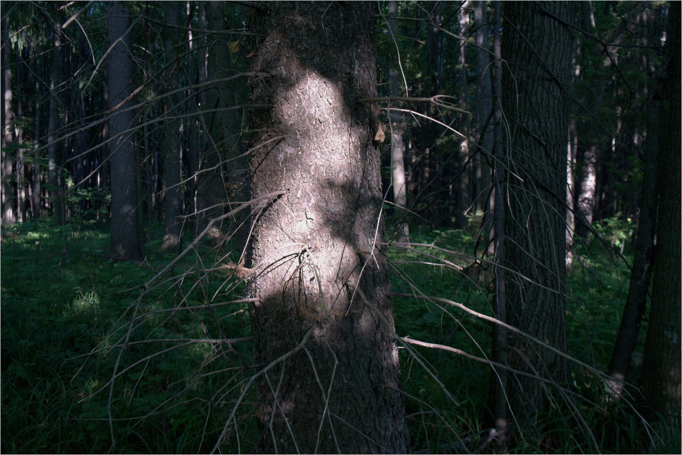 Святой Себастьян