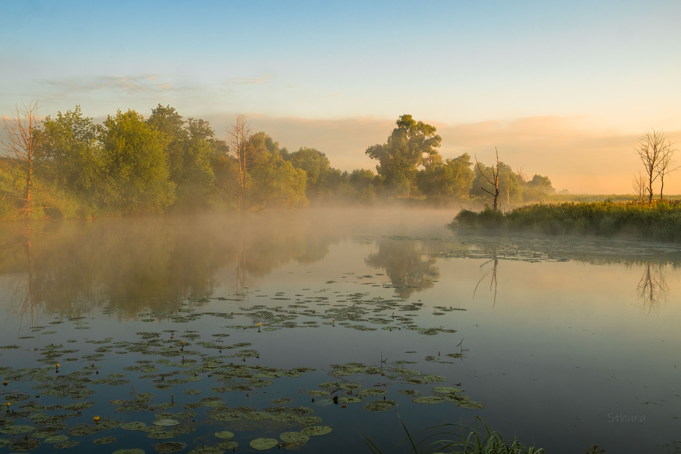Летнее утро.
