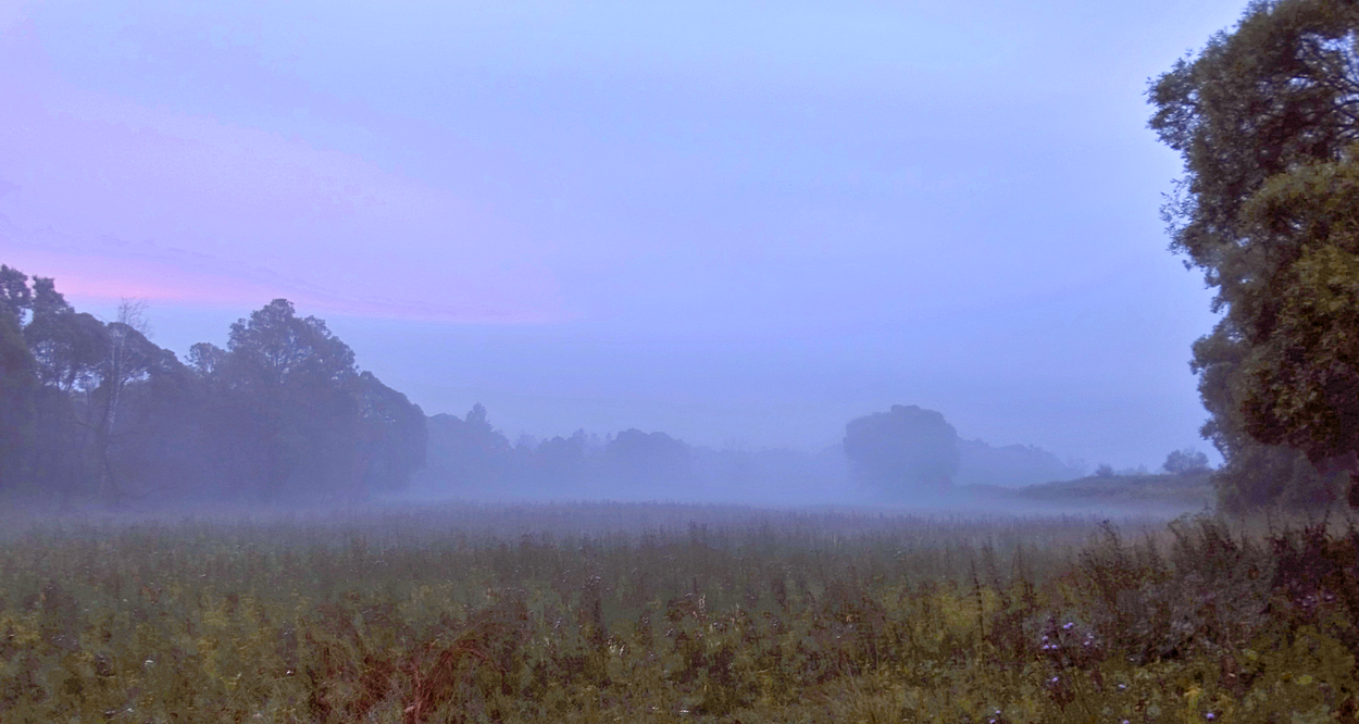 Панорама туманного июльского утра