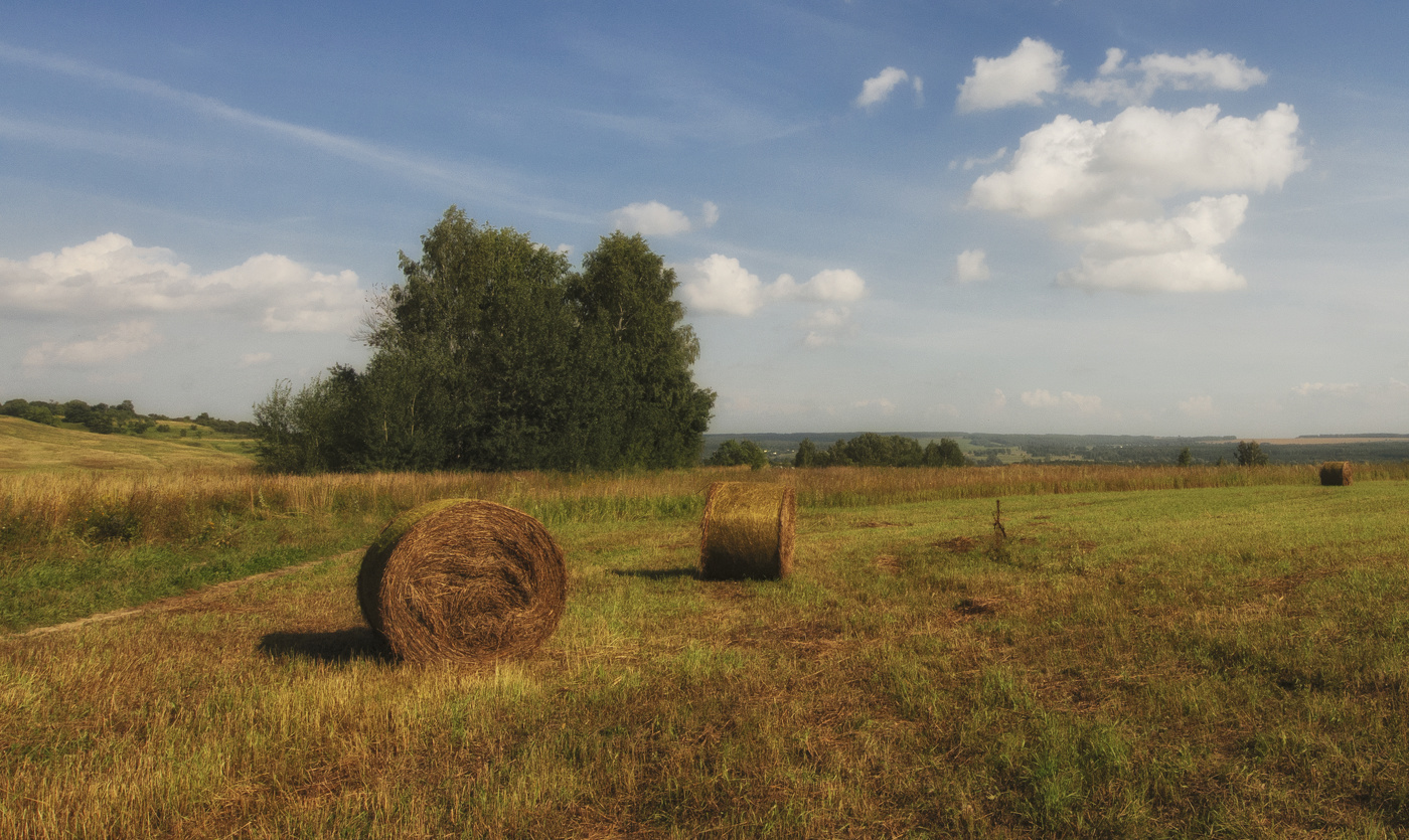 Лапшлей. Жара...