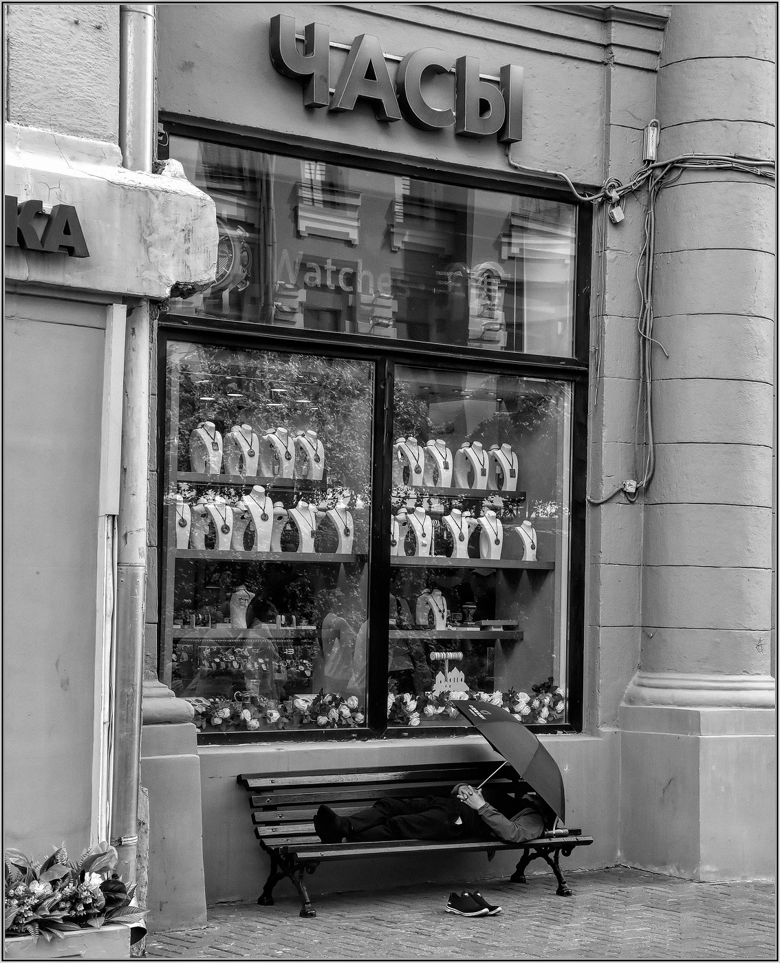 ...... И снится нам .....